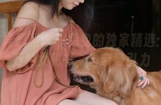 IESS异思趣向 - 兔兔的独家精选：风情万种女秘书，自带吸引力