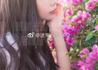 免费图册，源赖光的迷失人形QUQ，还是得用眼睛看实际情况